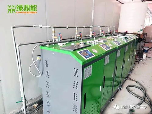 綠鼎能蒸汽發(fā)生器 高效賦能制藥廠生產(chǎn)建設工程設計